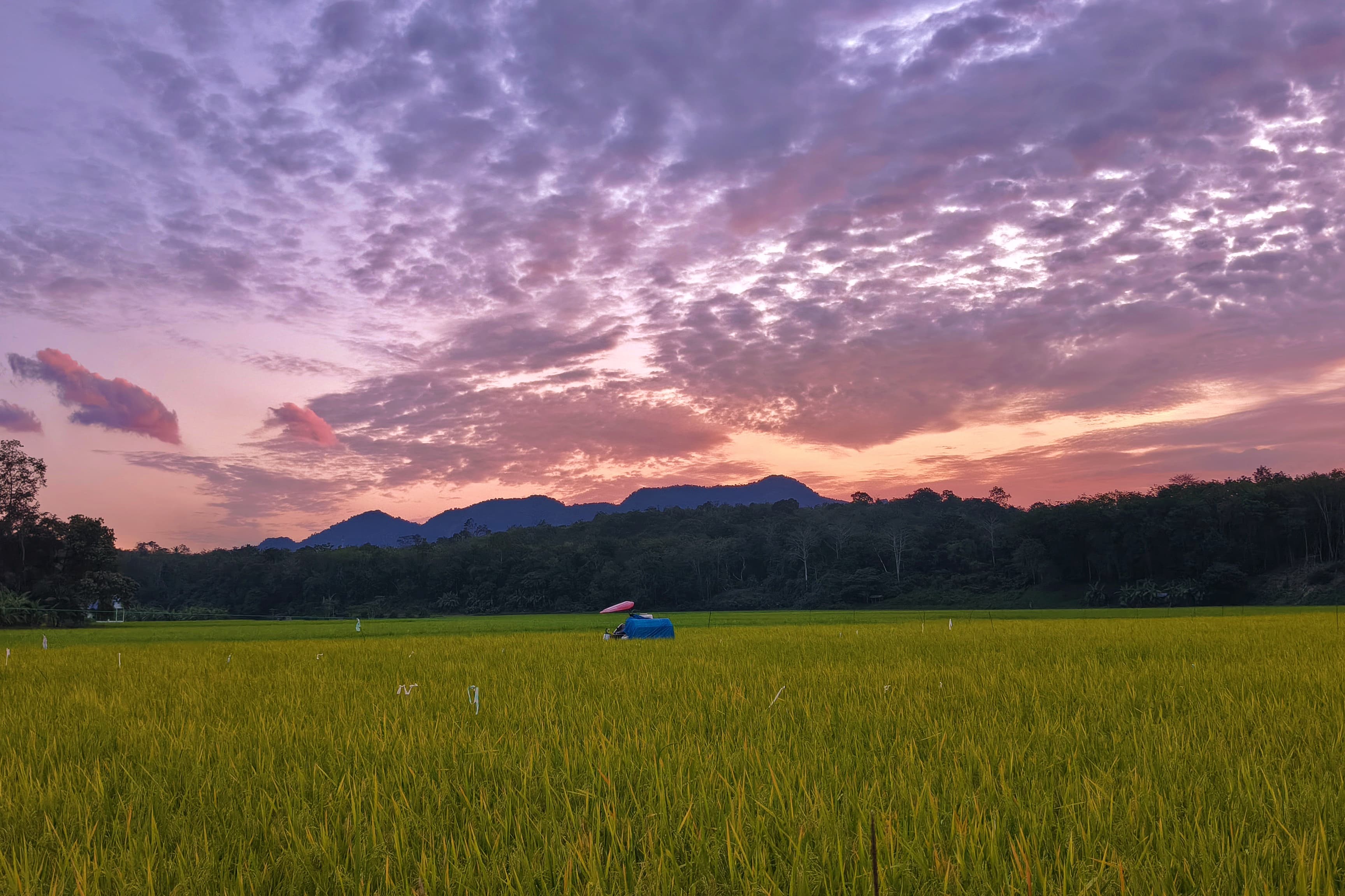Foto Kepala Jorong